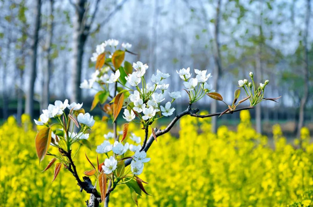 臺群精機(jī)4月展會依舊精彩紛呈，與您相約，不見不散