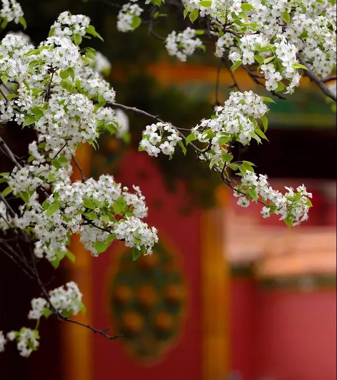 臺(tái)群精機(jī)5月展會(huì)一覽，等您來參觀！